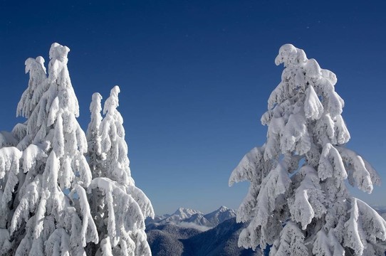林海雪原