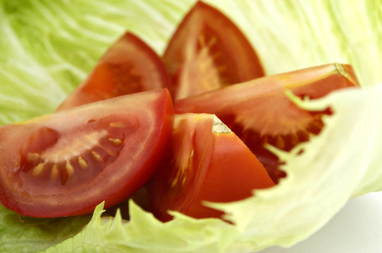 l番茄生菜