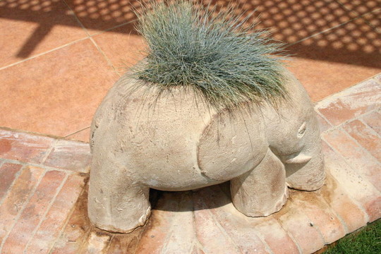 花園種植