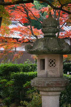 京都的秋天