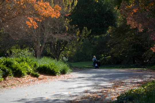 在公園里散步