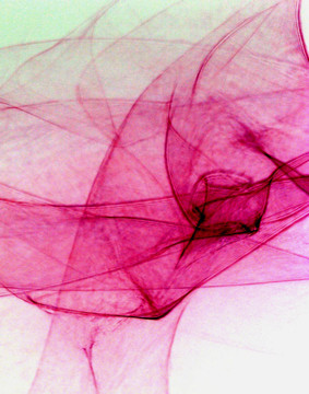 background0005