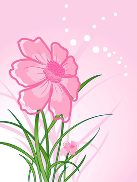 花藝設(shè)計