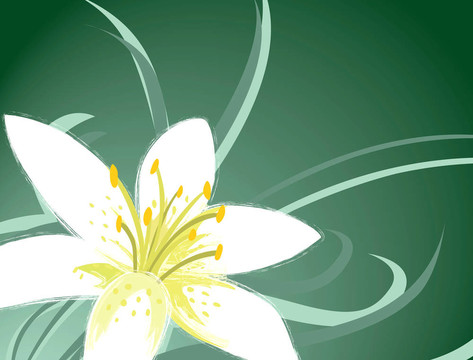花藝設(shè)計(jì)