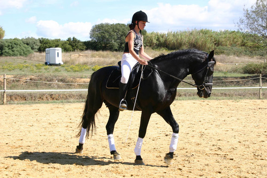 孩子和馬