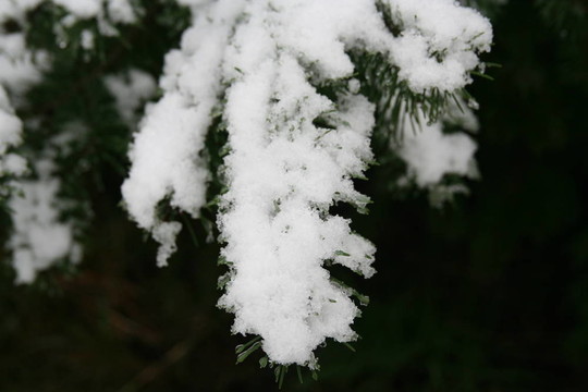 第一場(chǎng)雪