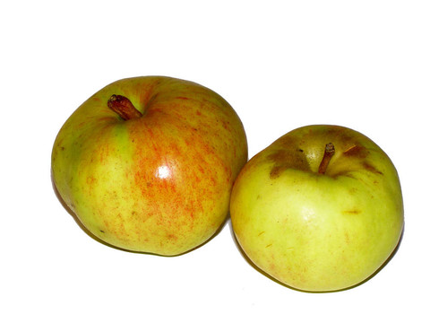 蘋(píng)果