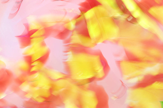 黃色和粉紅色