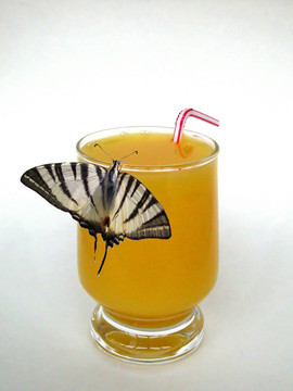 飲食drink_3