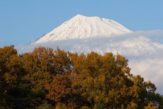 富士山在秋天