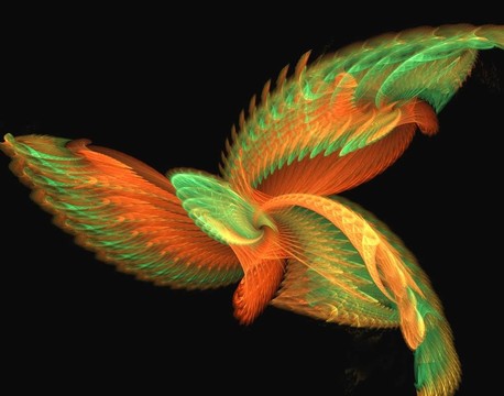 神秘的鳥(niǎo)