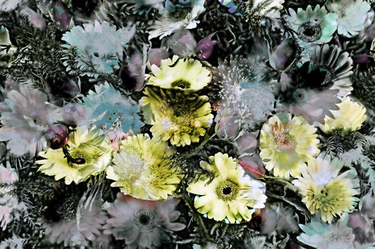 花的垃圾