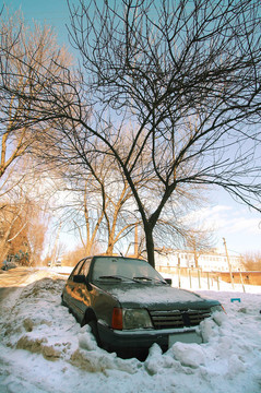 雪下的車