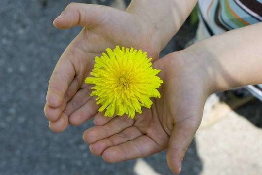 花