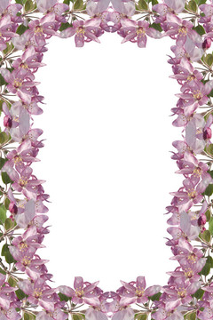 花框