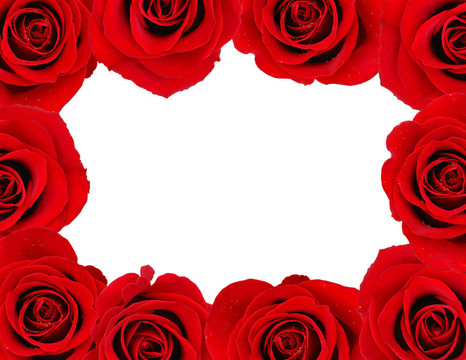 薔薇架