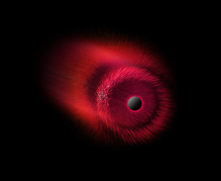 空間爆紅