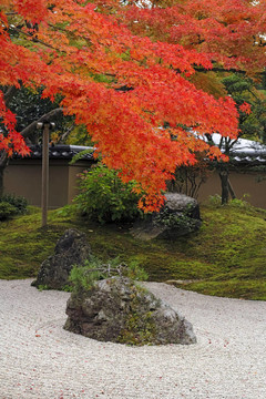 秋天的日本花園