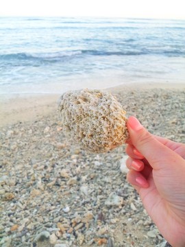 趕海拾貝 貝殼