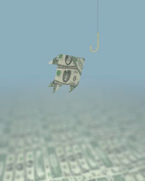 一個小的美元的魚