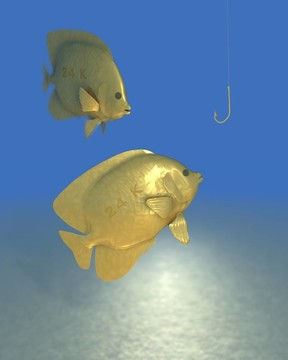 兩只金色的魚