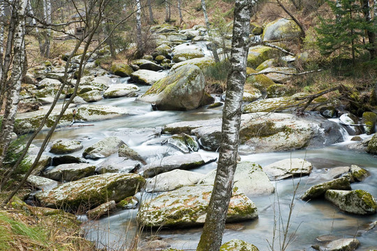 別洛庫里哈河。