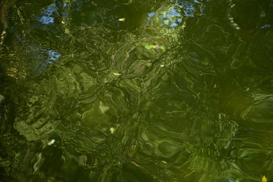 水紋