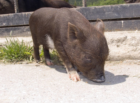 符號(hào)2007