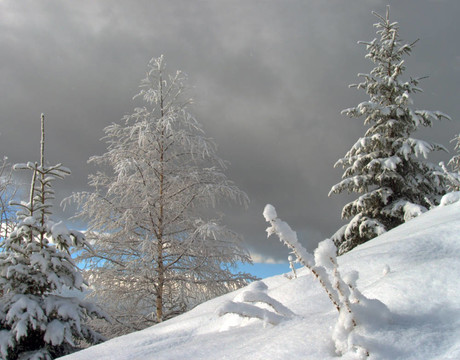 降雪開始