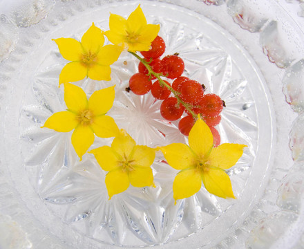 水里的花和漿果