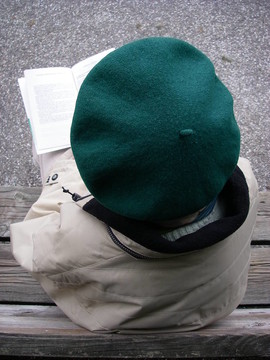 高級閱讀的書