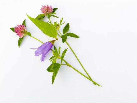 花組成