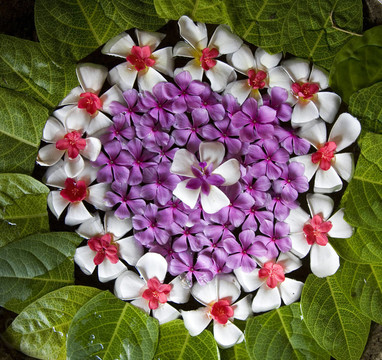 插花1