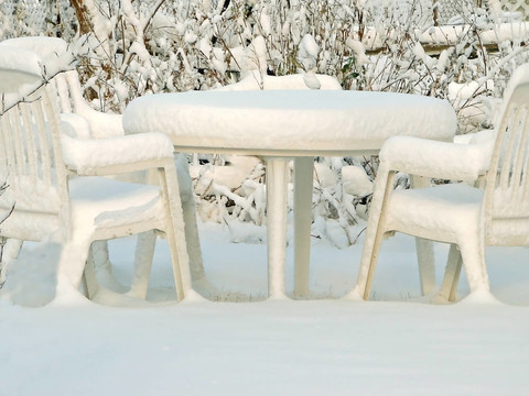 雪野