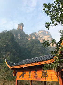 張家界