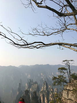 張家界