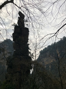 張家界