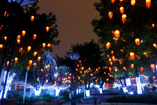 春節(jié)夜景