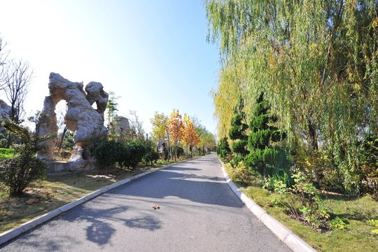 景區(qū)道路  柏油路 旅游區(qū)