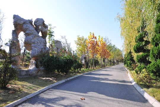 景區(qū)綠化  地質(zhì)公園