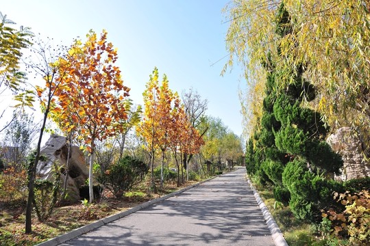 園林綠化 公園風景