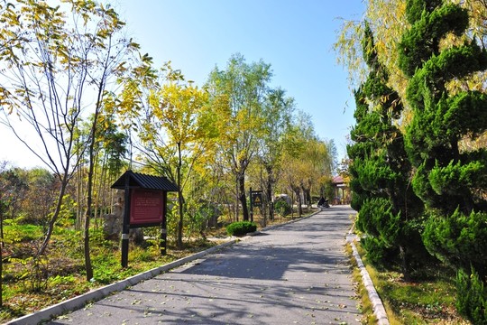 景區(qū)道路 柏油路 景區(qū)打造