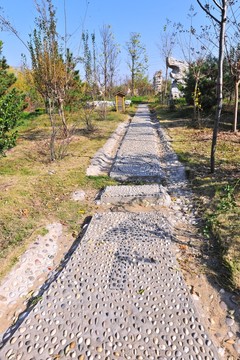 石子路 園林道路