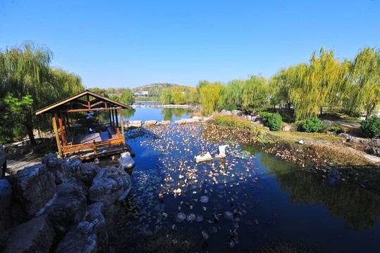景區(qū)水項目  水塘
