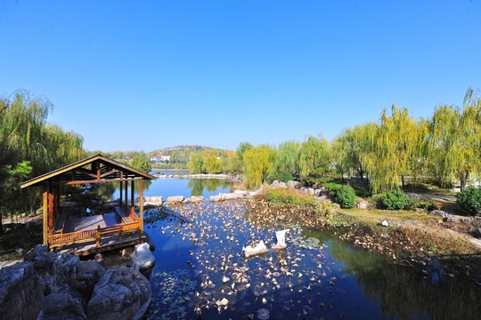 水景區(qū) 人文景觀 池塘