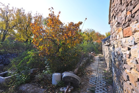 鄉(xiāng)村旅游  全域旅游