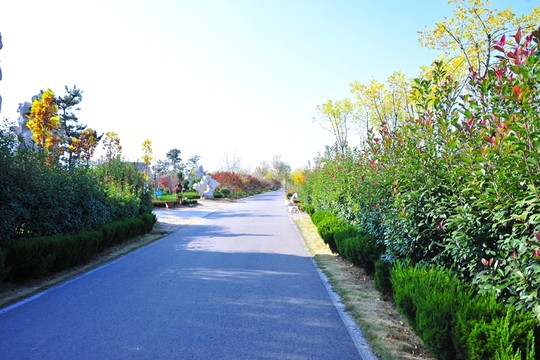 園林綠化   景區(qū)綠化