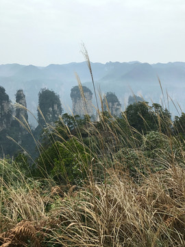 張家界