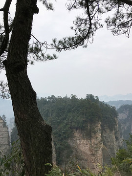 張家界