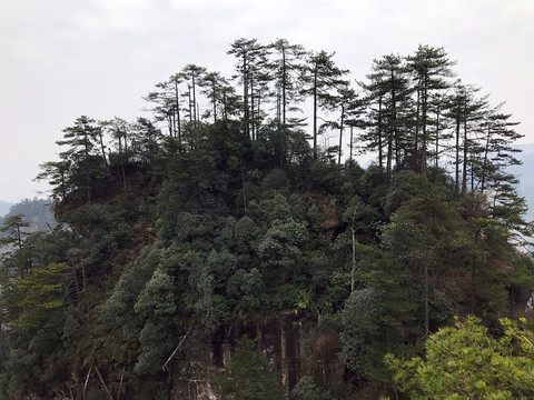 張家界